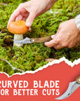 Gather Americana Premium Mushroom Foraging Knife - Essential Mushroom Hunting Gear